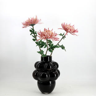 �����ջ���֦�ٻ�ܛ�b��ˇ�Ҿ��b�c�쾰�廨 DIY �������l