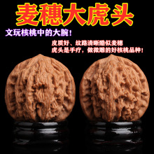 ����������뻢�^�{���^�Һ�ԭɫ�ְ������Ůʿ�Cˢ�ߘ�������Ȼ