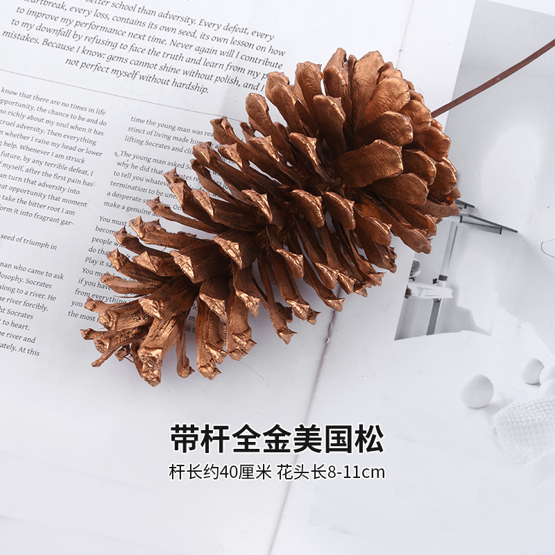 로드가 있는 올 골드 아메리칸 파인