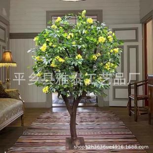 ����𻨘�ӭ����������҃ȼ٘��bƵ��̈������쾰��ؔ[��