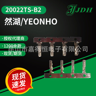 YEONHO�n��Ȼ���B����20022TS-B2�Ӿ�����20022ϵ�����Ԫ����