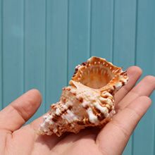 ��ȻС����ؐ���������ʯ̖���~���쾰�b[���ľ�з��Q�����l