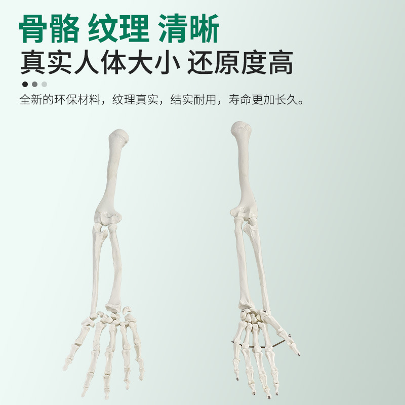 170CMɢ��ģ�ͼ��ι��Ź��ع��߹ǳ߹�����Ź��Ĺ��ƹ�����ֹ�