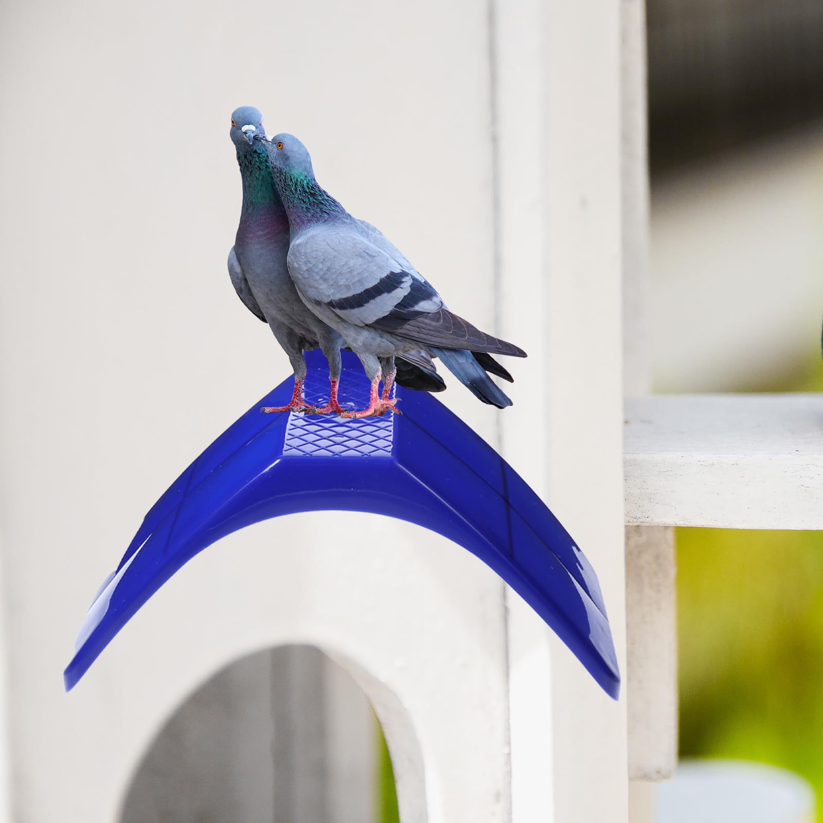 Pigeon perched pigeon breeding supplies Pigeon rest rack plastic…