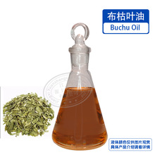 ���������~�� ˮ���s��ȡ ����ֲ���� Buchu oil
