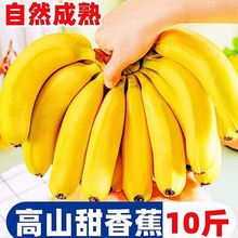 �V����ɽ������㽶���rˮ��һ�������l��С�׽��Ž��S�زɺõ�