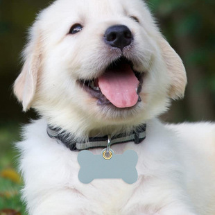 Cross-Border Cat and Dog Anti-Lost Identity Tags Pet Tags Leather Collar Tags Bone-Shaped Tags