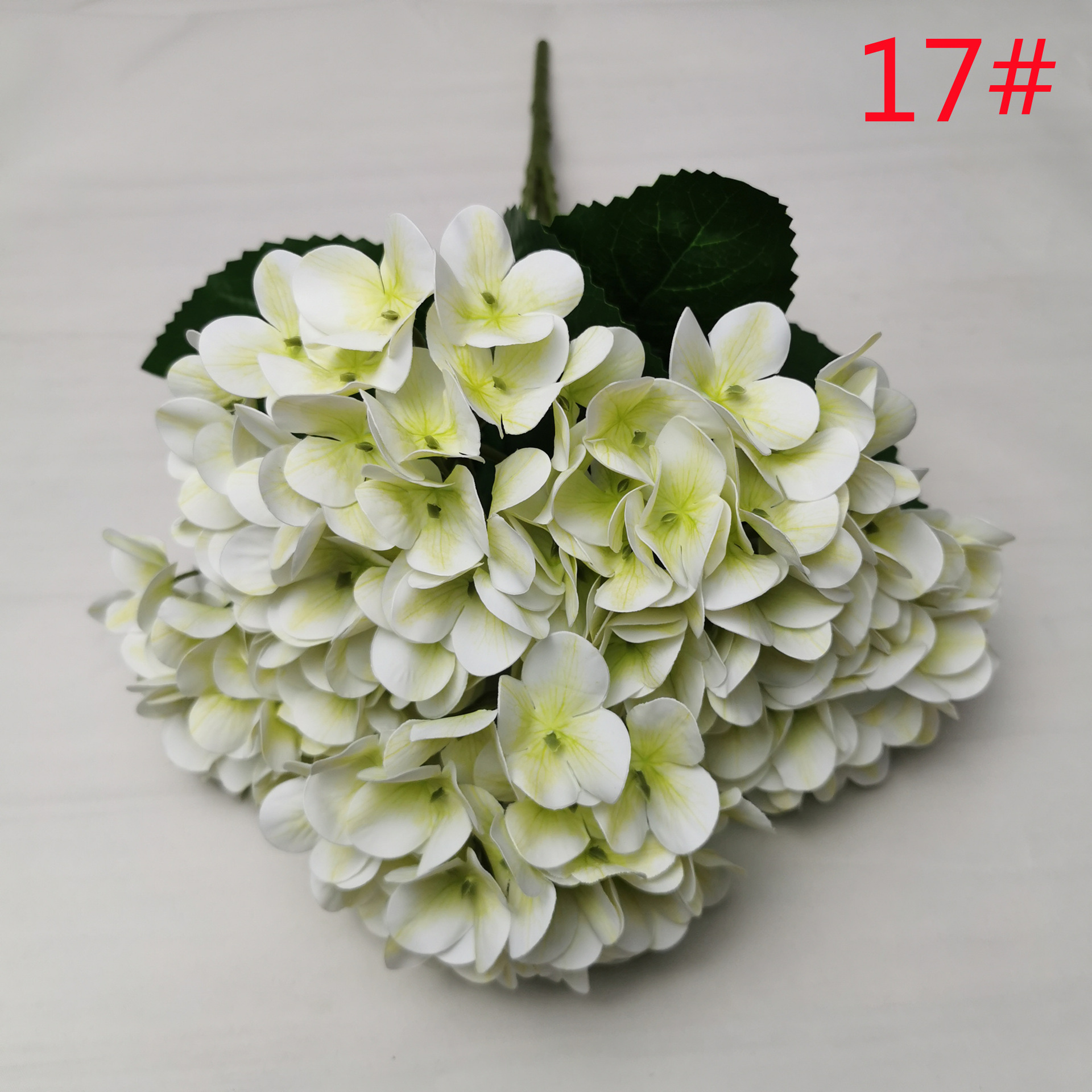 17#