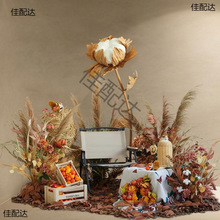 bꙻ쾰b＾JȔɻŮ}ֱg[