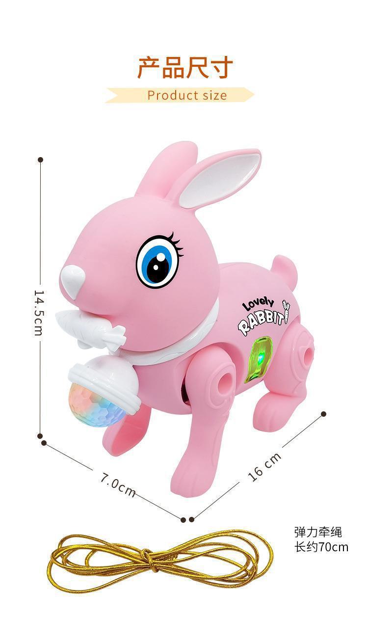 13.jpg?x-oss-process=image/format,png