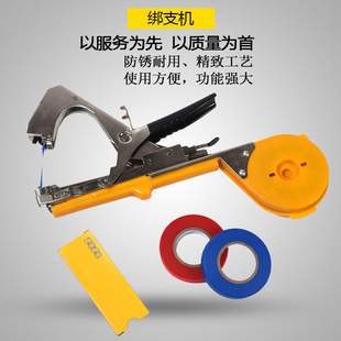 ��֦�C���l ̨��ԭ�a���ѽ�֦�C���b ��֦�������C�����߲˽�����
