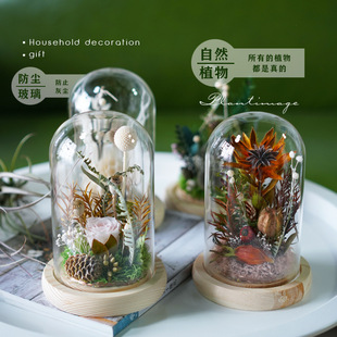 iĸ�H��ɭϵ�������ɻ�õ�岣����ֲ��˱��ҾӔ[����ˇ�Y�����