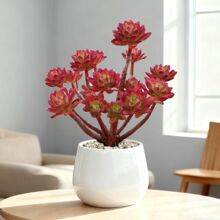 ���Լt��ɏ�Ϙ����^Ⱥ������ֲ�������k���ҾGֲ�������ֺ��B