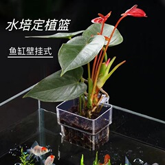 水槽透明水培定植かご壁掛け式水草栽培コップ水槽緑植造景装飾棚水槽吊りかご