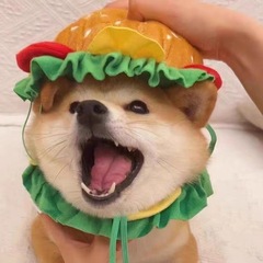 犬の猫のハンバーガーの頭のカバーの帽子の漫画のペットのアクセサリーの服は服の犬の科基の猫を責めます。