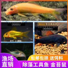 ��̦���~�Ꭷ�~�^�p�~��ˮ�����~����׌��~��؈��𾀺ڽ�����w