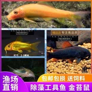 ��̦���~�Ꭷ�~�^�p�~��ˮ�����~����׌��~��؈��𾀺ڽ�����w