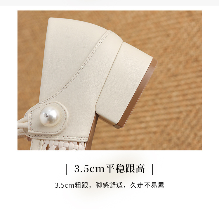 Giày Mary Jane nữ quai ngang mũi nhọn đế thô — BL738P màu đen chi tiết 12