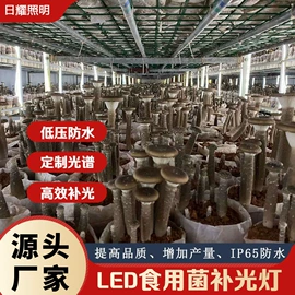 植物生长灯;格栅灯;支架
