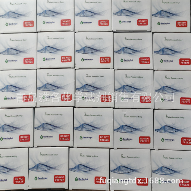 GenScript 金斯瑞 SurePAGE?, Bis-Tris, 10x8, 4-12%, 15 wells