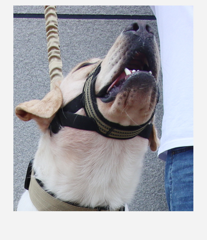 Adjustable Tactical Dog Muzzle Anti-bite Pet Mask For Large Dogs_voghion.com