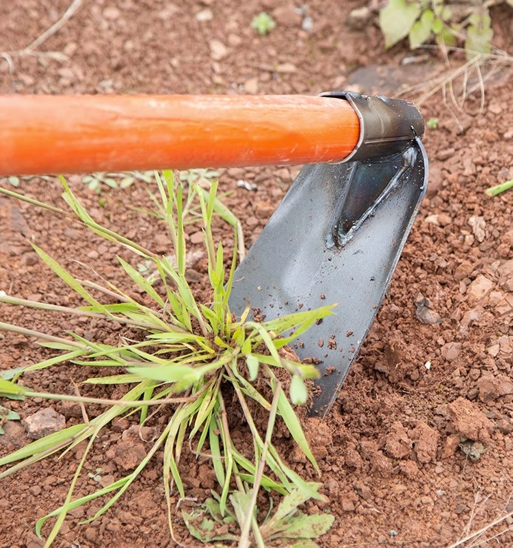 农具锰钢锄头除草种菜家用全钢带柄翻地松土锄草神器农用工具大全