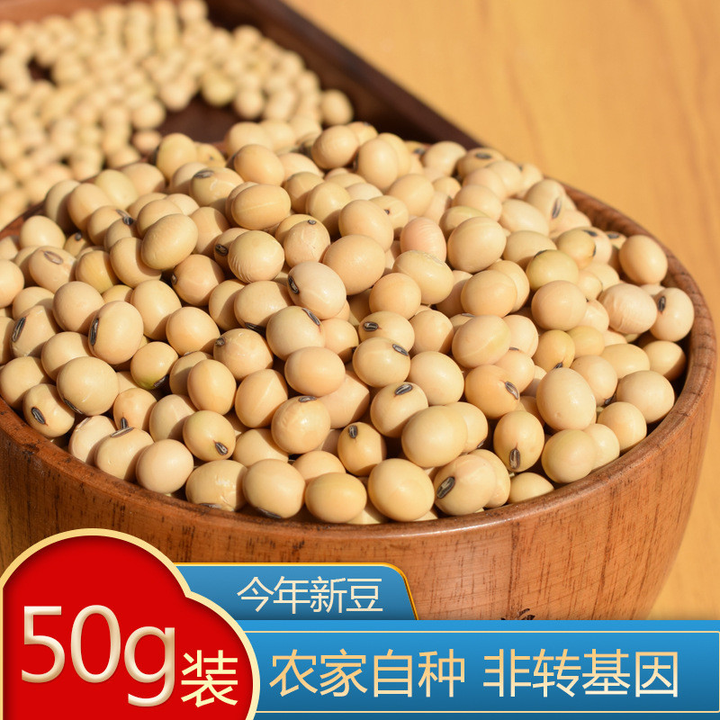 유기농 콩 50g (소량으로 드셔보세요)