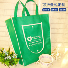 制作创意中国人寿财险学校培训机关单位宣传广告手提袋印字印logo