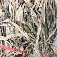 ���lҊѪ�� ����� ���غ� ë�ȹ� ���� ���m ������