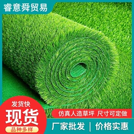 盆栽;种子;园林果树