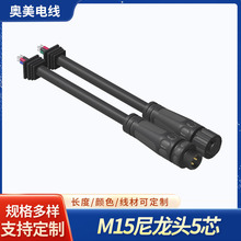 M15��ĸ���������^�����ˮ�Դ���B�����~��5о��|�B���^�Ӿ�