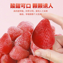 �ك���ݮ�決�����̲��Ǻ��J���������ݮ����ˮ��ե֭1kg����