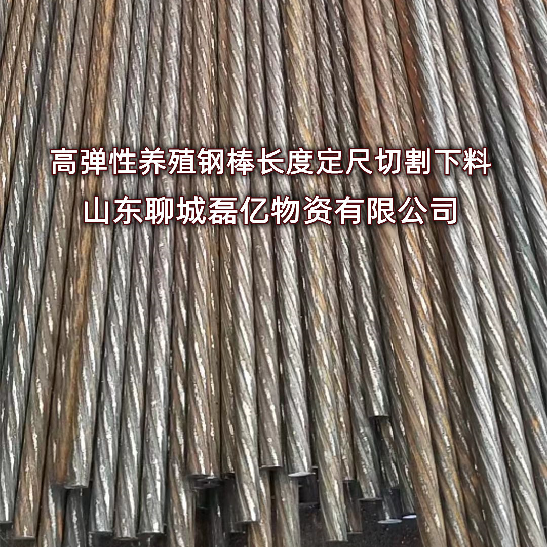 螺旋肋钢棒预应力高弹性钢棒 9.0 10.7 12.6PC钢棒热轧钢筋切割