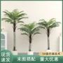 北欧大型落地盆栽针葵