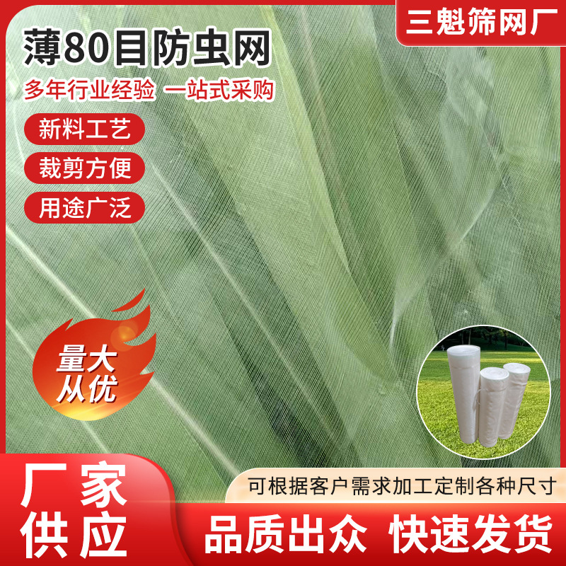 80目防虫网农厂蔬菜大棚防虫网农用养殖果园果树网防鸟网罩打井用