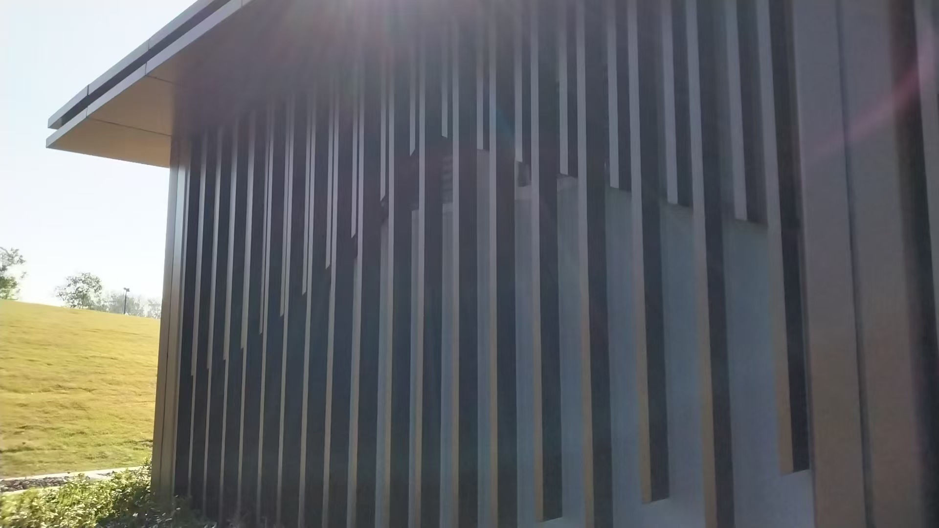 微信图片_20241116081746