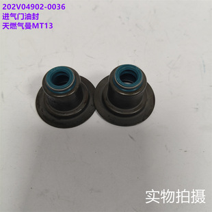 ��������ȼ�����202V04902-0036������MT13��ȼ���M���T�ͷ�