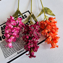 �����֦�����L���Ӽٻ���Y��·���廨�ҾӲ͏d�[�żٻ�޹�²�