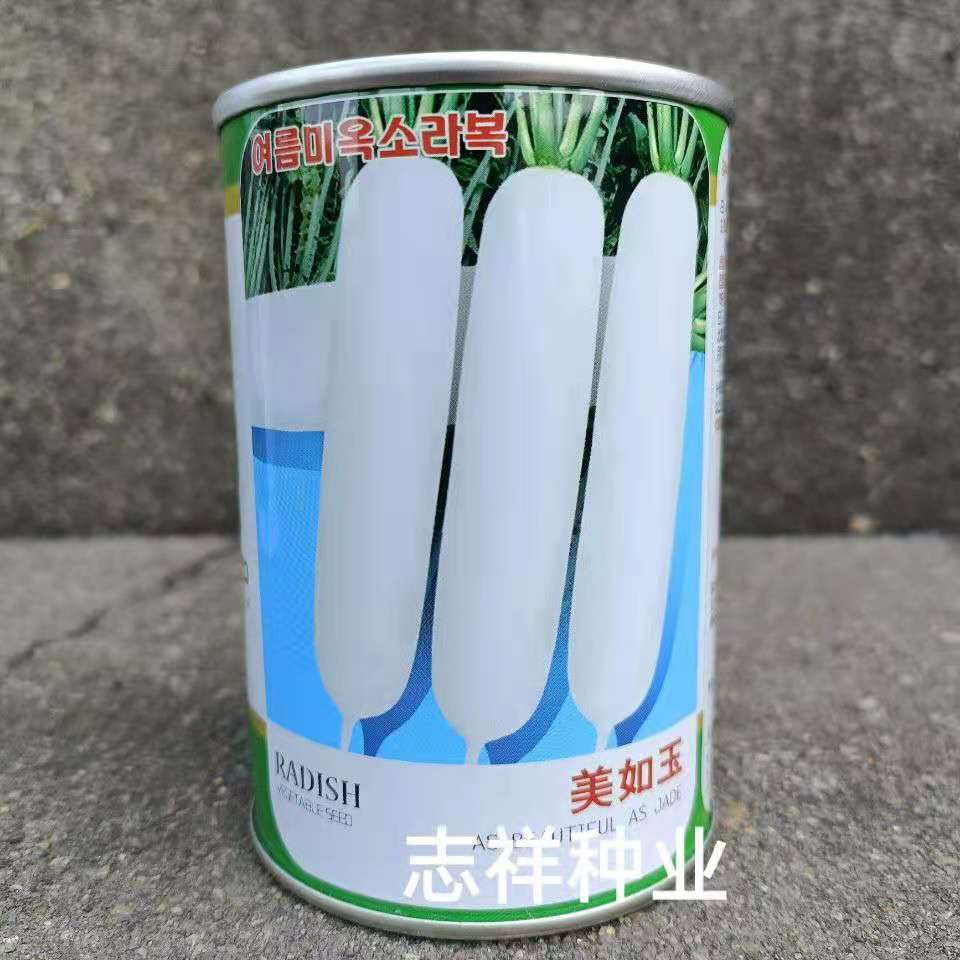Beauty like jade Korean radish