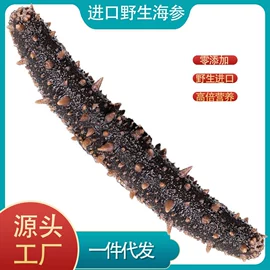 海参;鱼类;贝类