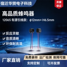 ���Q��  ��Դ늴�ʽ12065������   �S��ֱ�N ����r�� ֧���_�lƱ