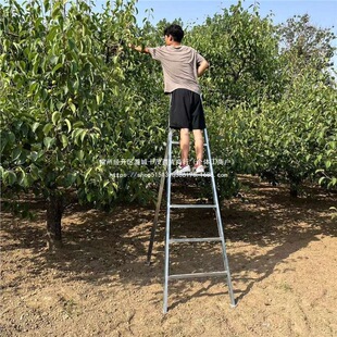 �Ӻ���\�ӹ̌��ù��@�����޼����ǈ@�ֹ����ۯB���_��ժ�������F