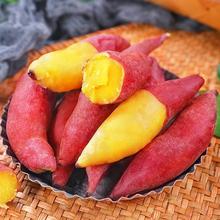 �V��С���������F�����rɳ�������t�����ĵعϵ͟�������ɽ����l