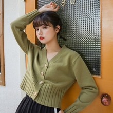 ëᘿ_Ů׿ٴ2021괺vI̿