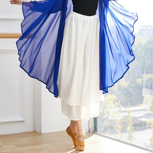 Modern dance practice clothing, women's practice pants, Chinese style double-layer chiffon slit wide-leg pants, ethnic classical dance performance clothing