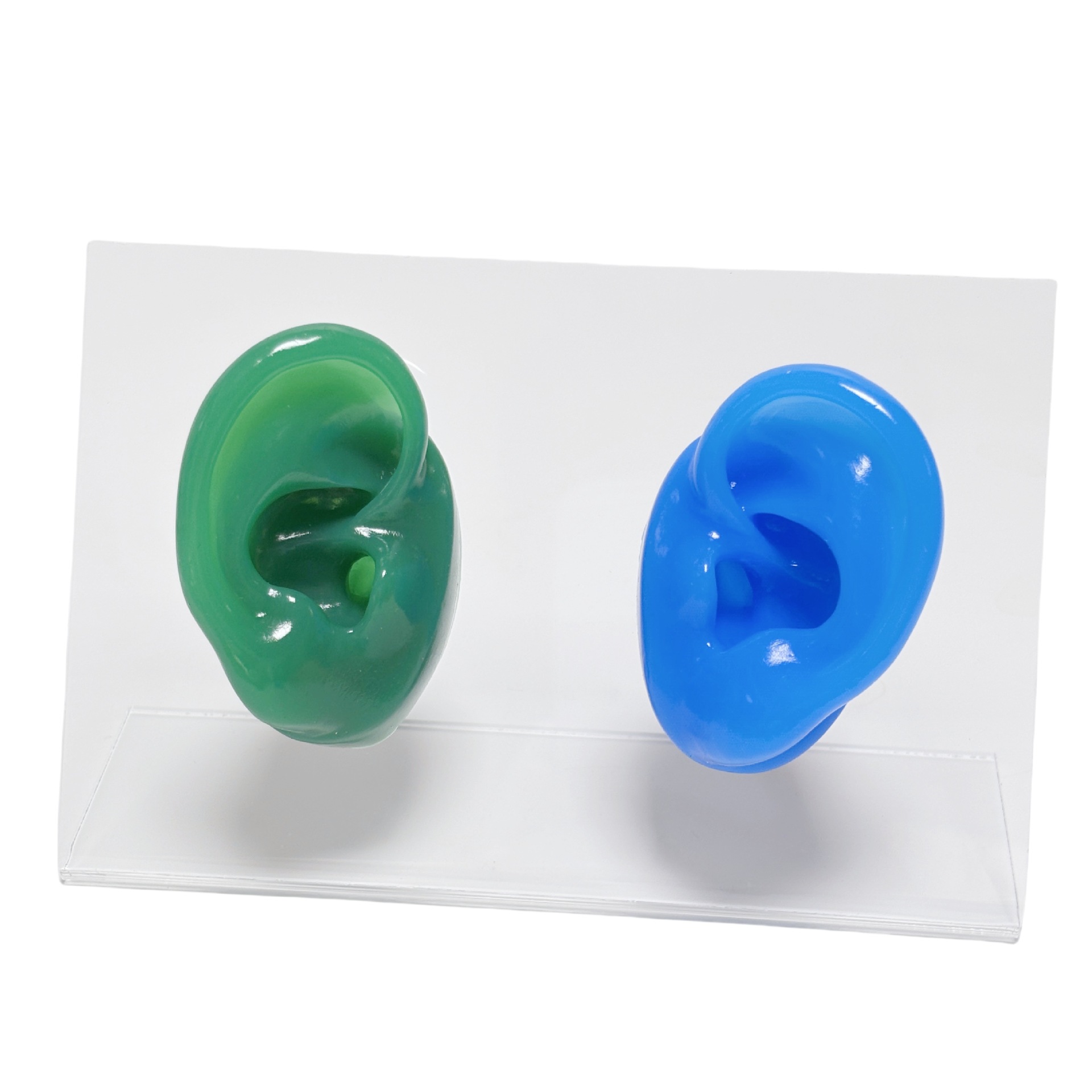 auriculares de silicona modelo de canal auditivo auricular auriculares audífonos auriculares perforación auriculares estante de exhibición joyas pendientes