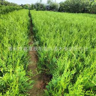 ���̾G����Ȱر��� �̰��� ������ ��u�� �������ļ����������