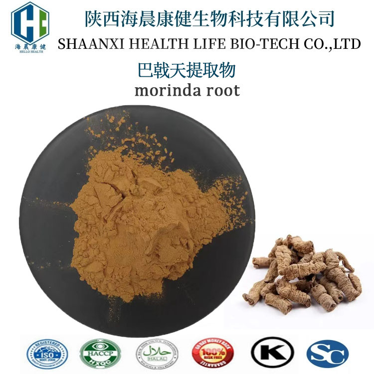 巴戟天提取物10：1保健品原料巴戟天浓缩粉/皂甙现货包邮海晨康健