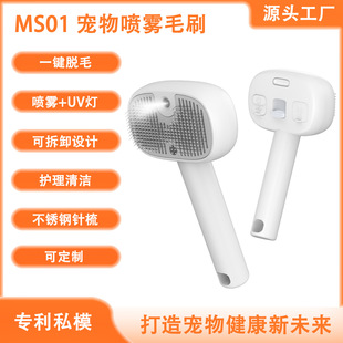 Cross-Border Pet Spray Massage Comb for Removing Loose Hair, Needle Comb, Dog Grooming Tool, Special Brush for Dogs