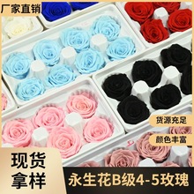 永生花B级4-5玫瑰花材干花手工制作玻璃罩独角兽diy材料手工小熊